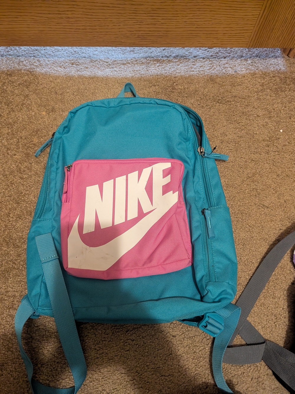 Nike Teal and Pink Backpack with White Logo